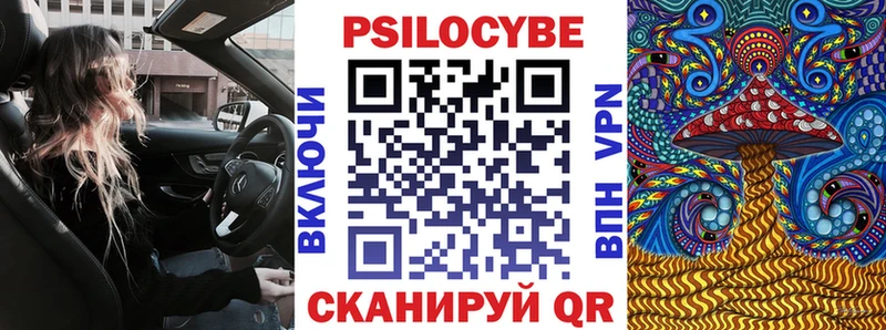 Псилоцибиновые грибы GOLDEN TEACHER  наркота  Ногинск 
